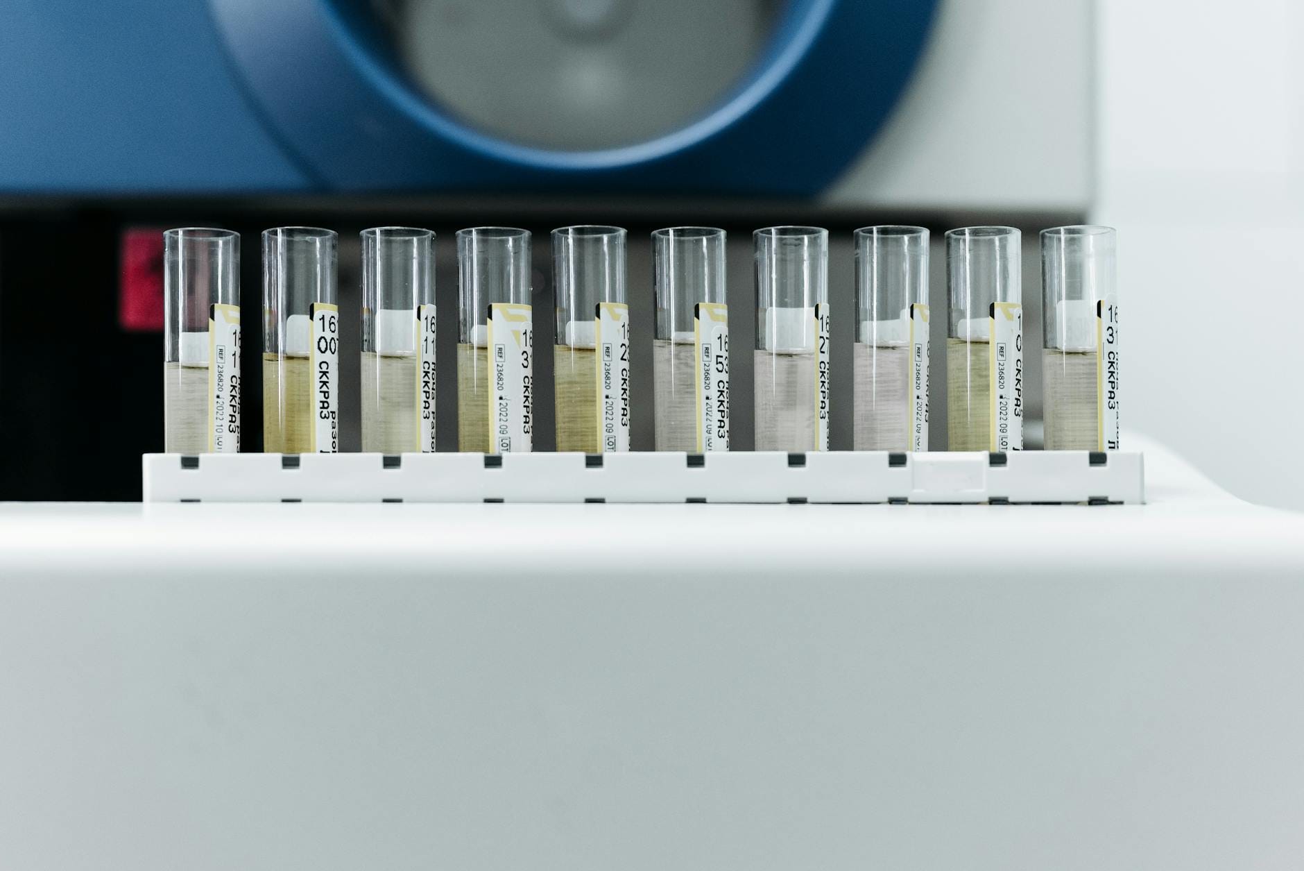 Probówki z oznaczeniami stojące w stojaku w nowoczesnym laboratorium
